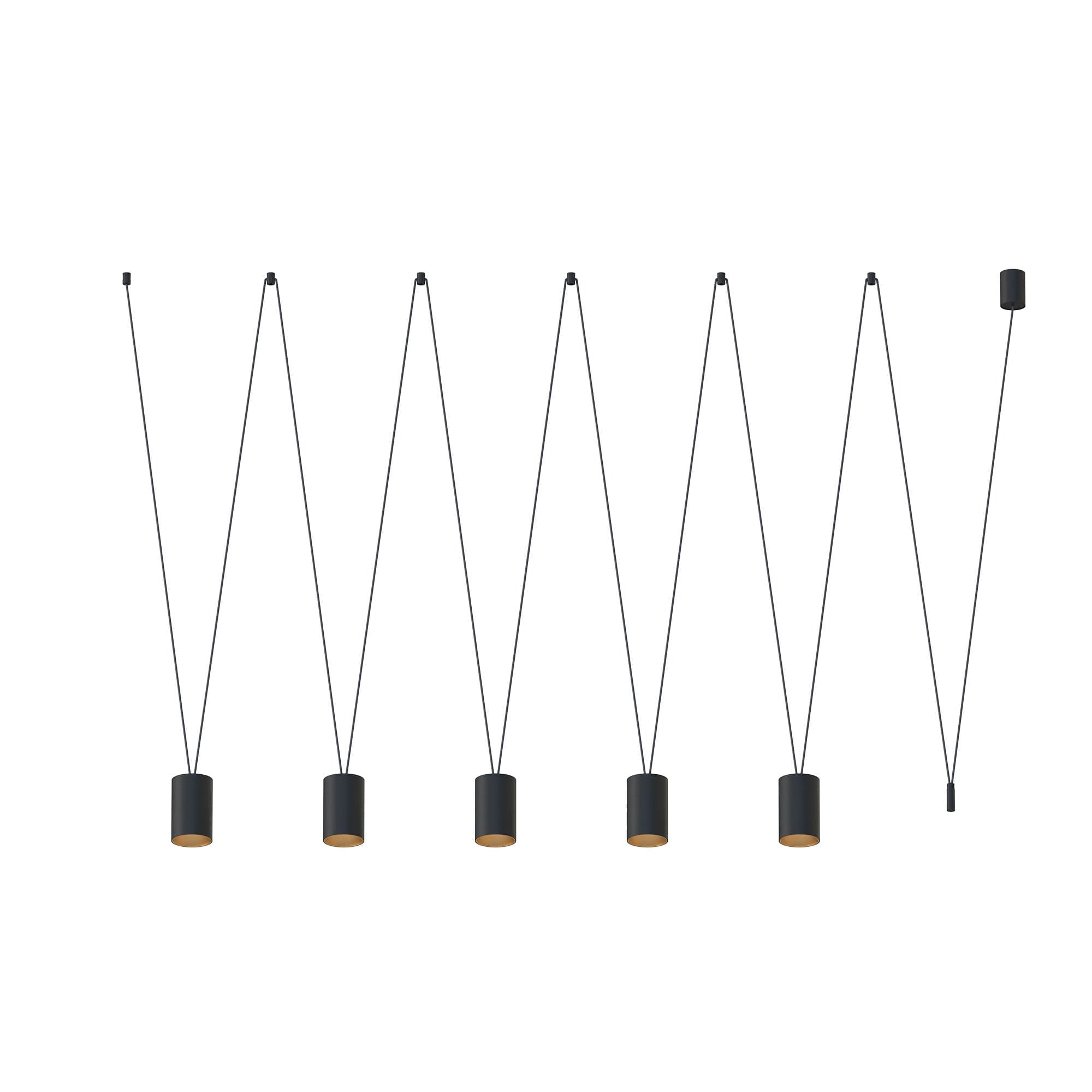 MORE TONE V BLACK/GOLD 7817